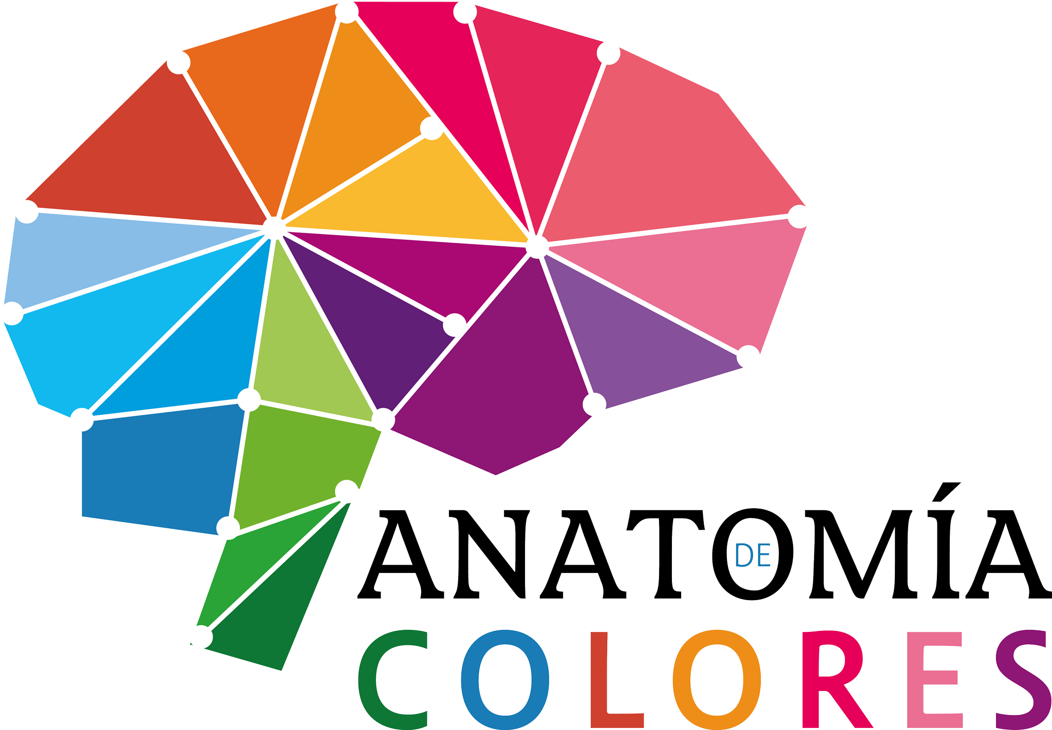 Anatomia de Colores